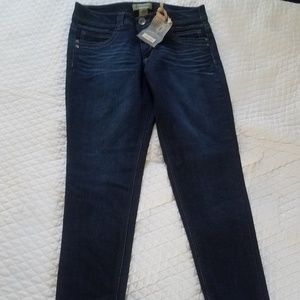 Democracy AB Solution Jeggings